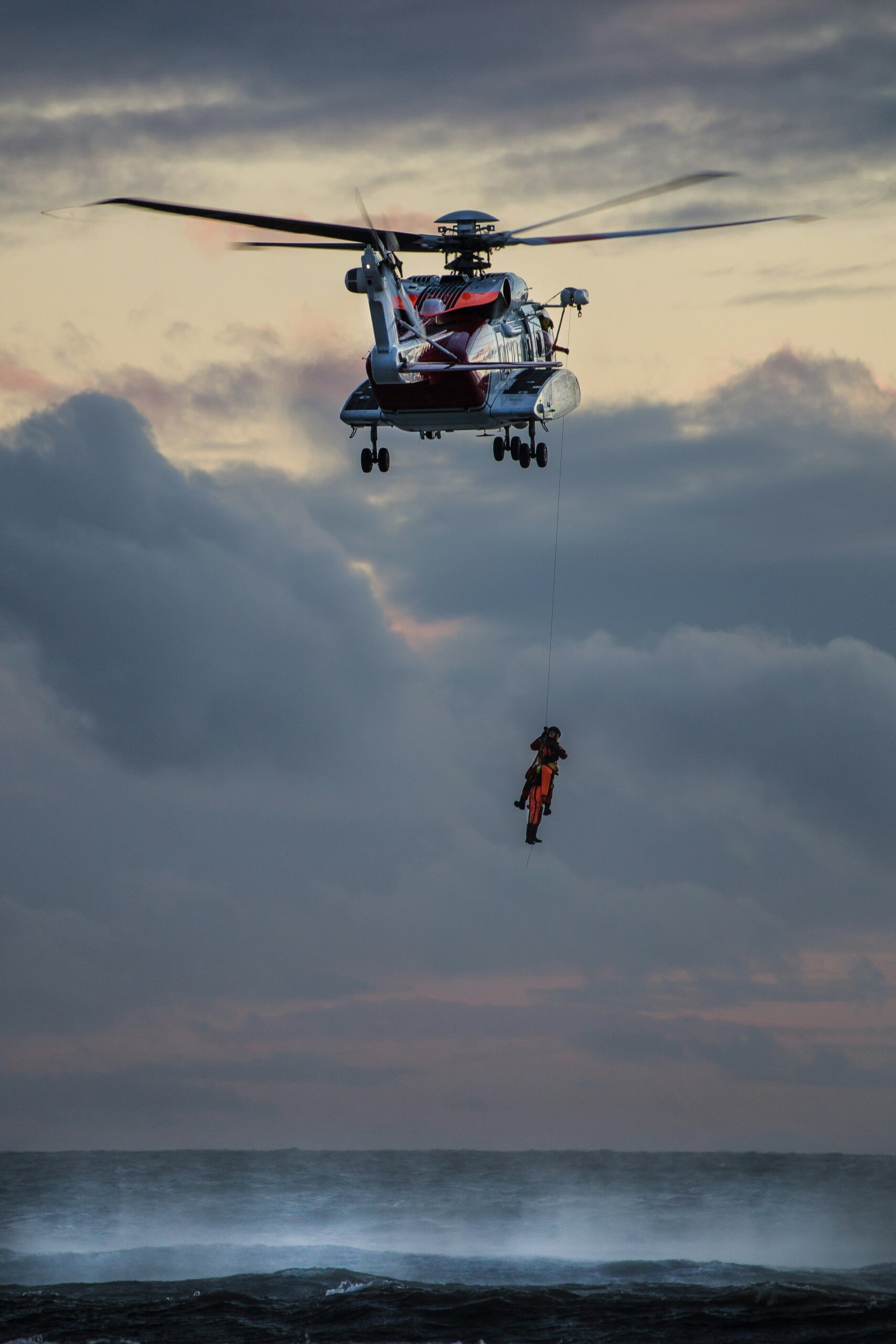 Specially Trained Dogs Arrive to Help Jay Slater Search