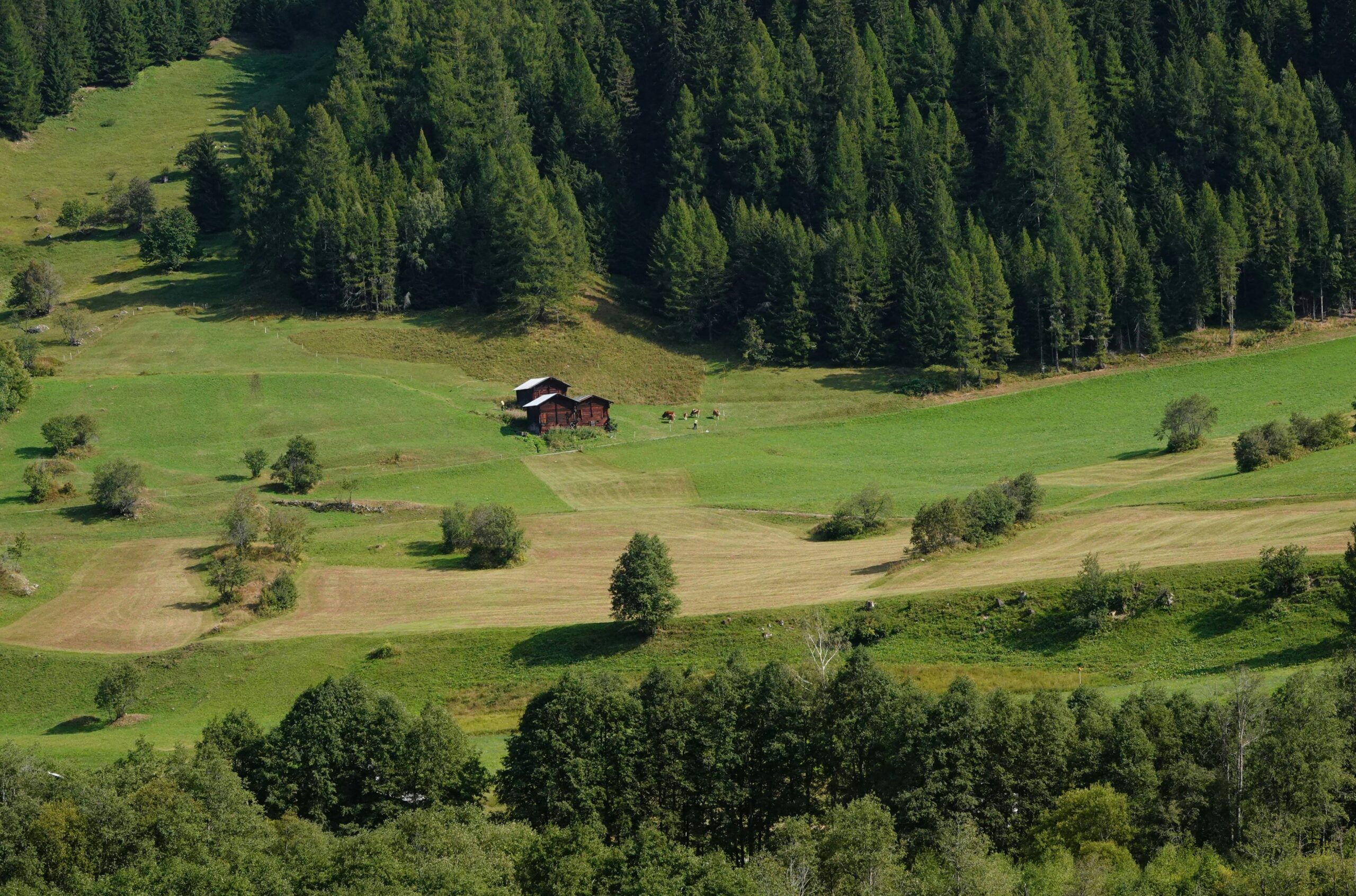 «Weltuntergangsstimmung» nach Unwetter im Wallis: Im Wasserschloss Europas kam so viel Wasser wie lange nicht mehr