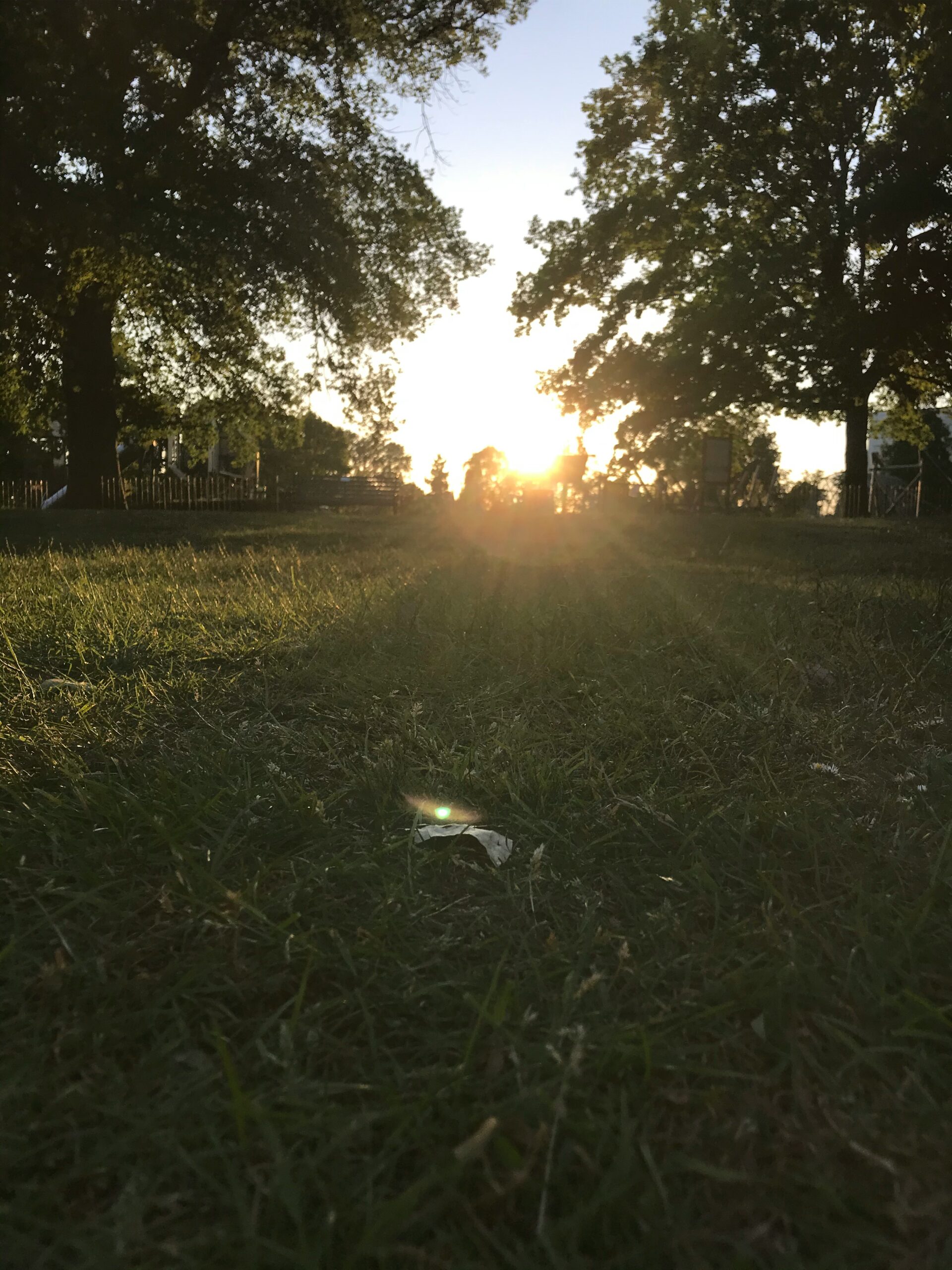 Summer Officially Arrives with the Earliest Solstice in More Than Two Centuries