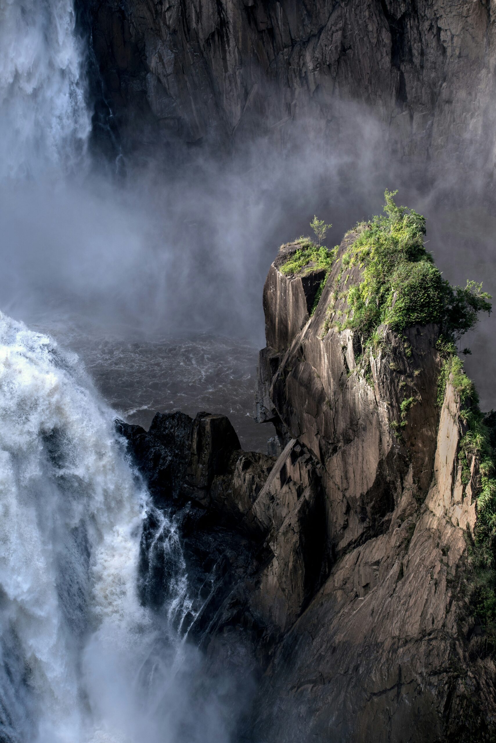 The Life and Legacy of David Attenborough: A Journey Through Nature