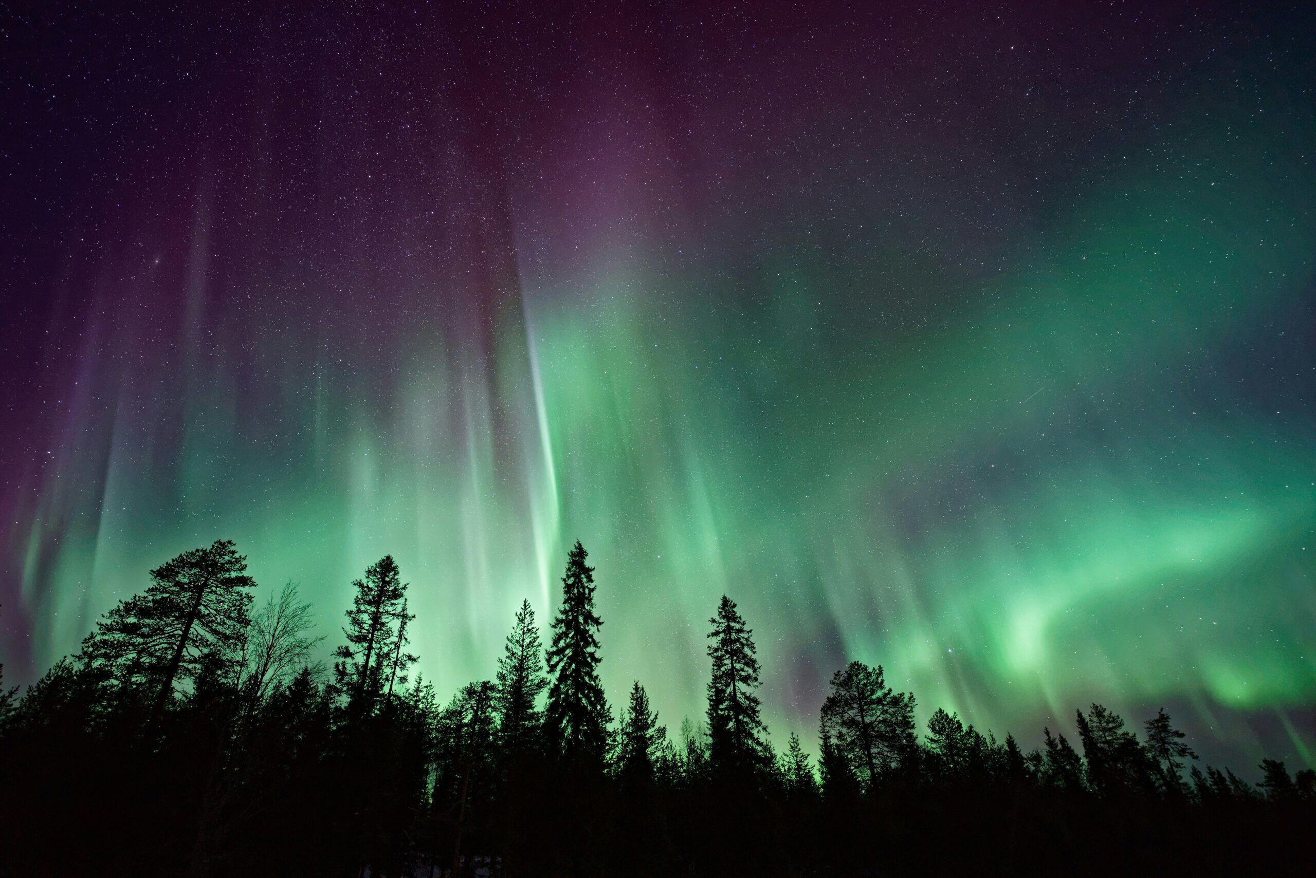 Northern Lights: Will You Get to See Them Again This Summer?