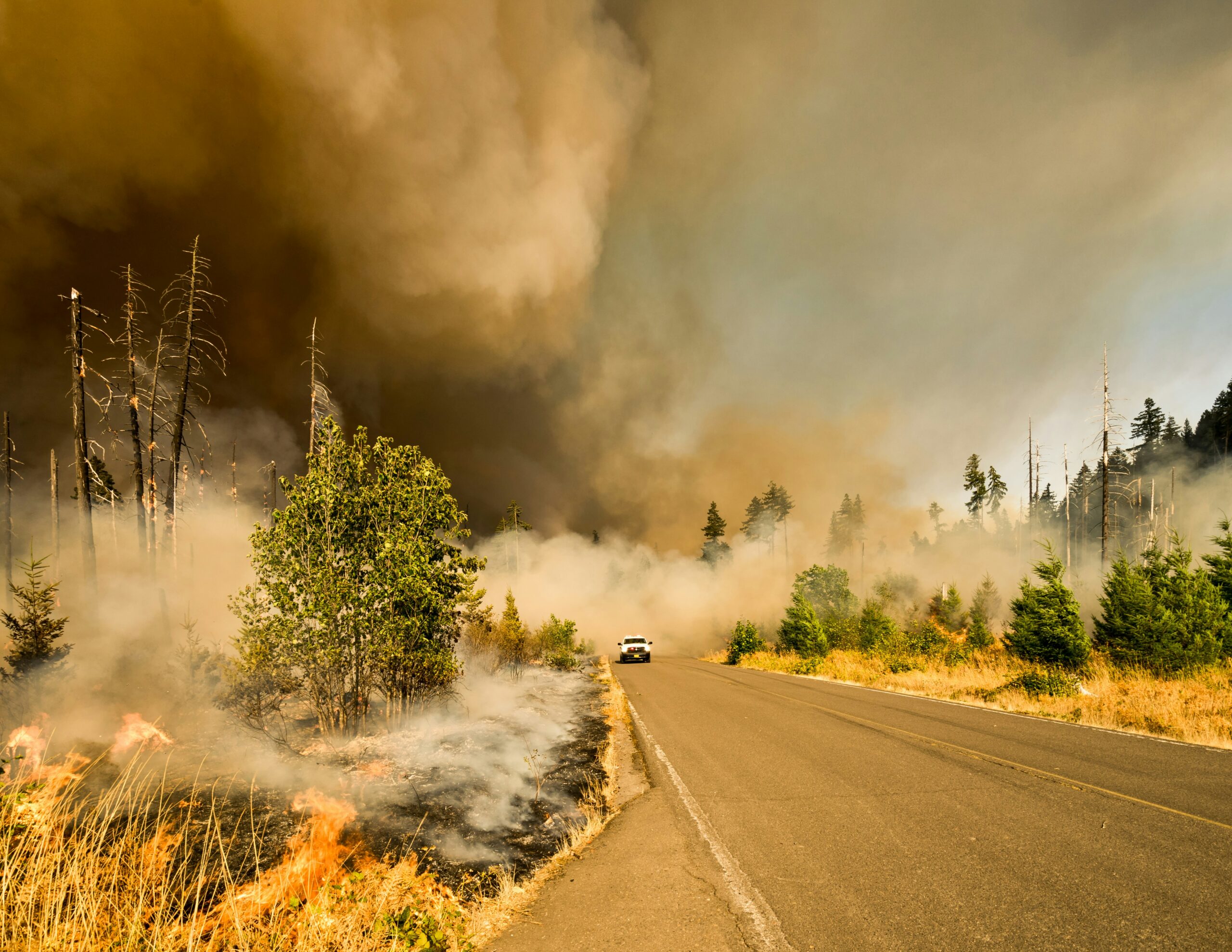 Tragic Wildfire Claims 11 Lives in Türkiye’s Kurdish Region