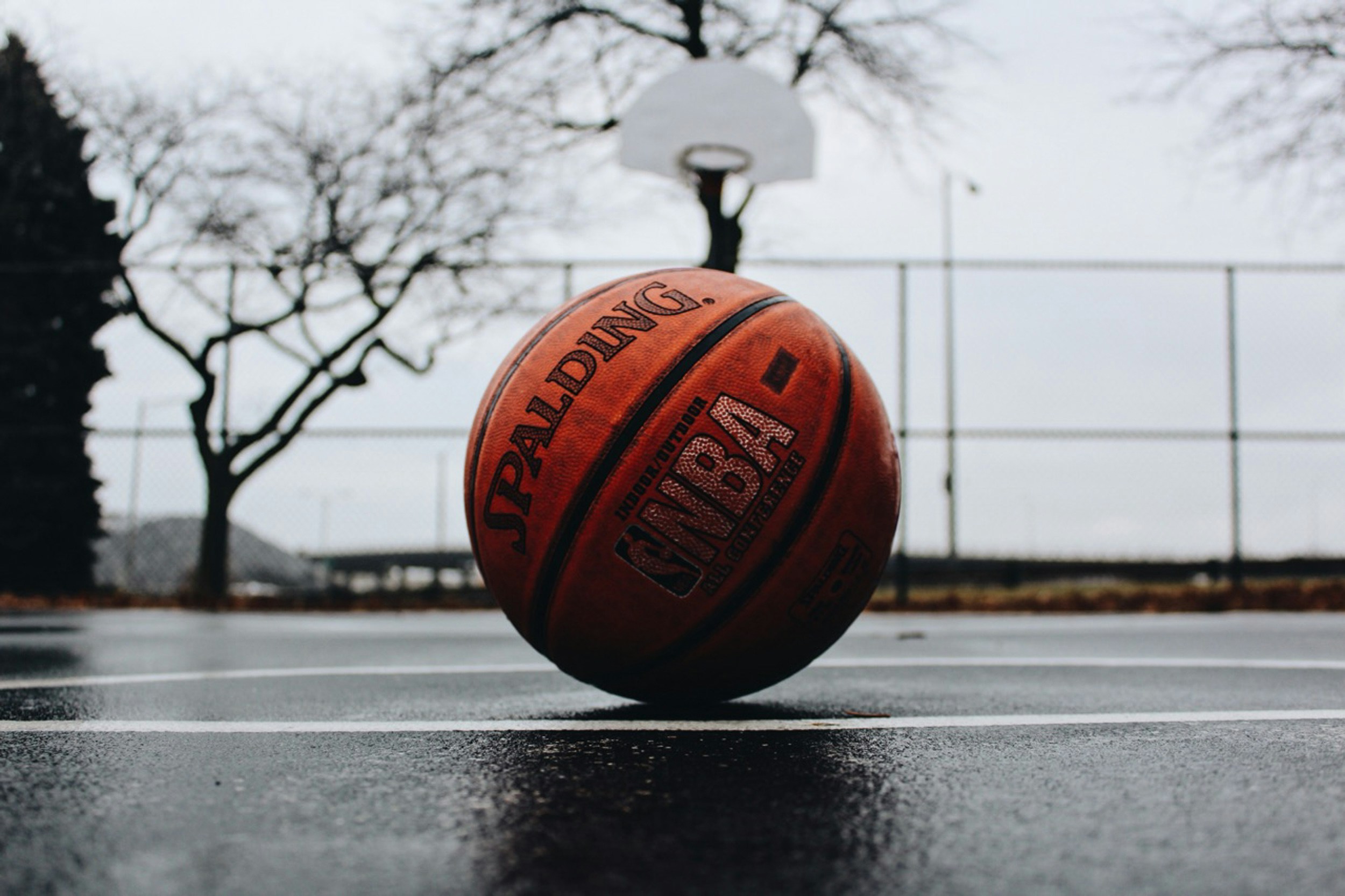 L’histoire et la rivalité du basket entre la France et la Serbie