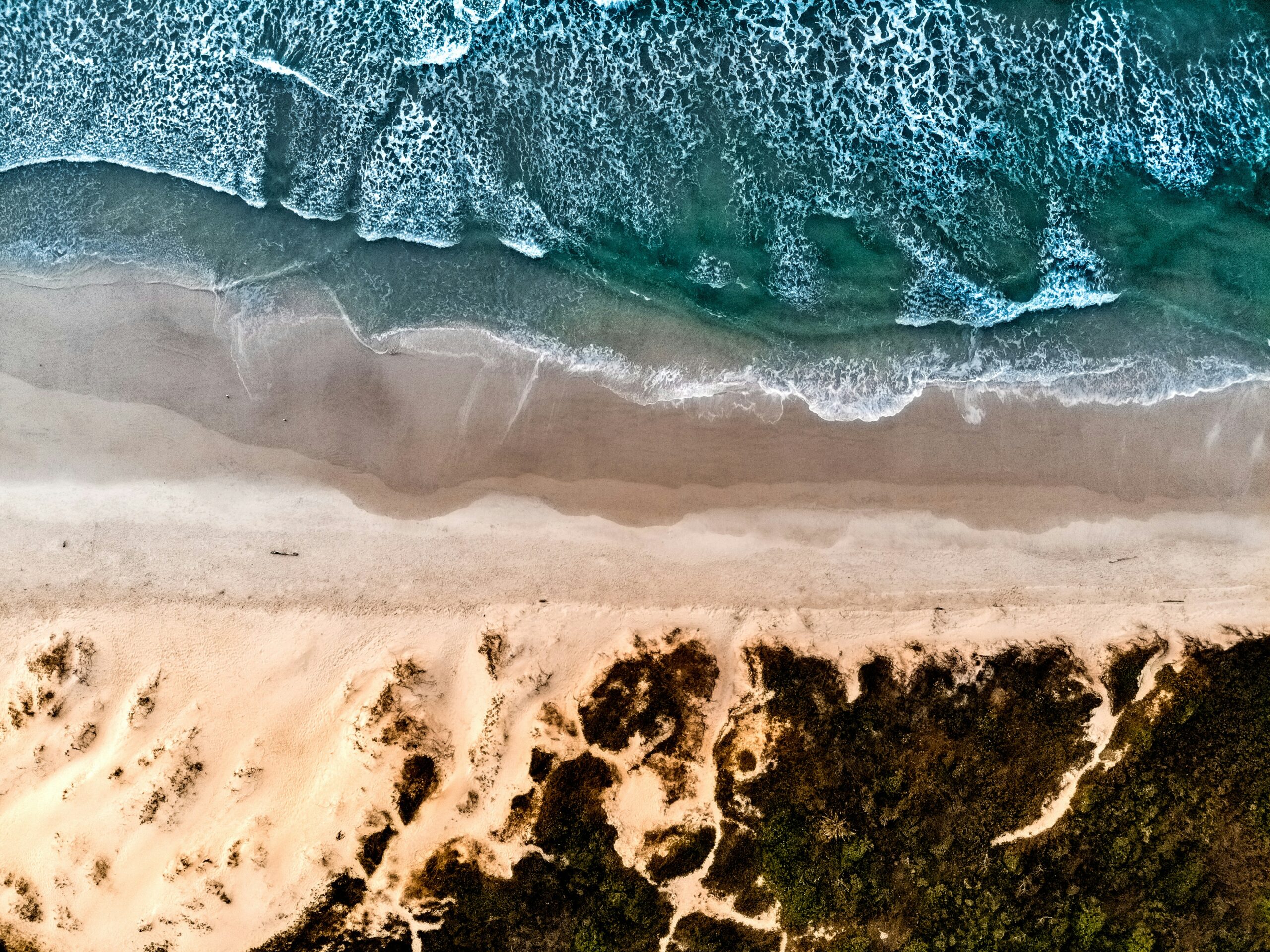 aerial photography beach