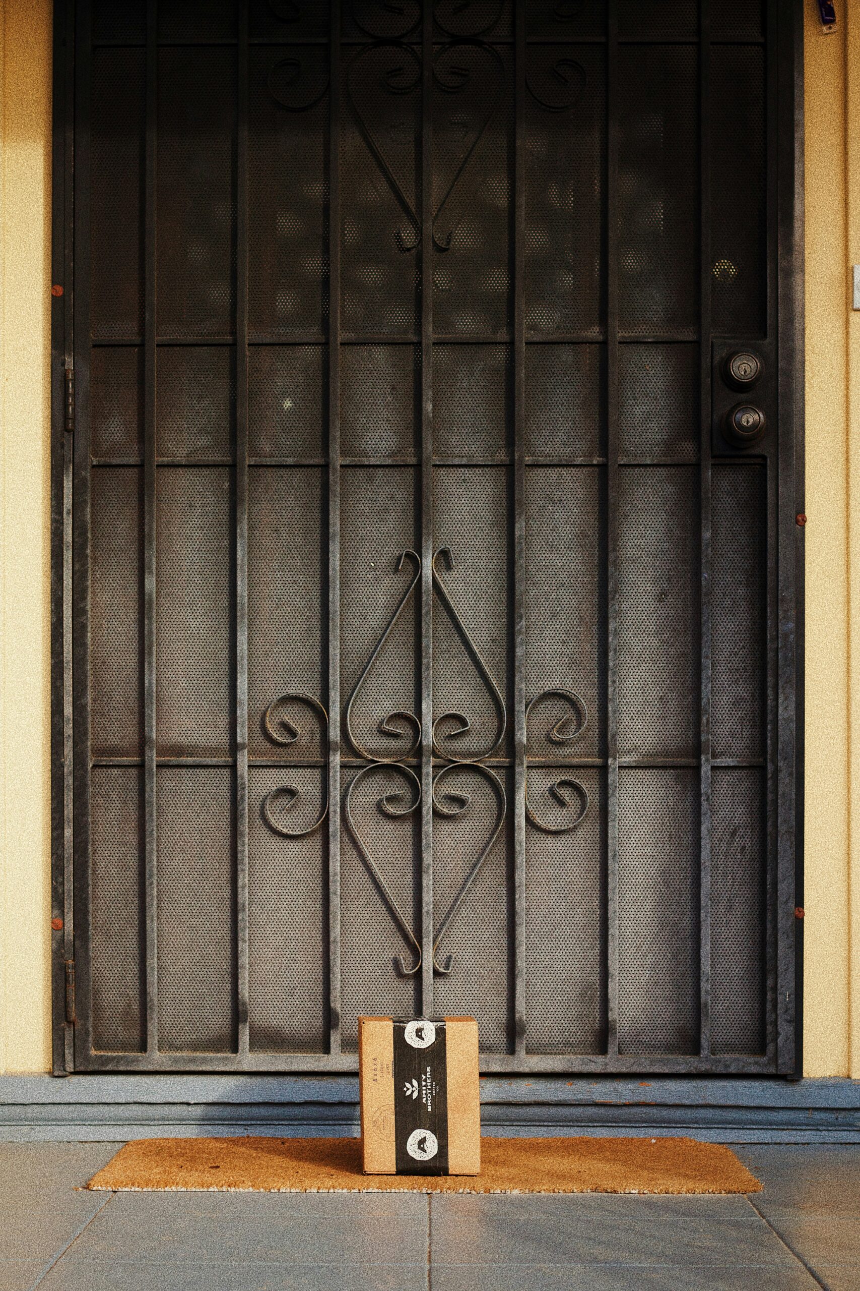 black metal gate with padlock