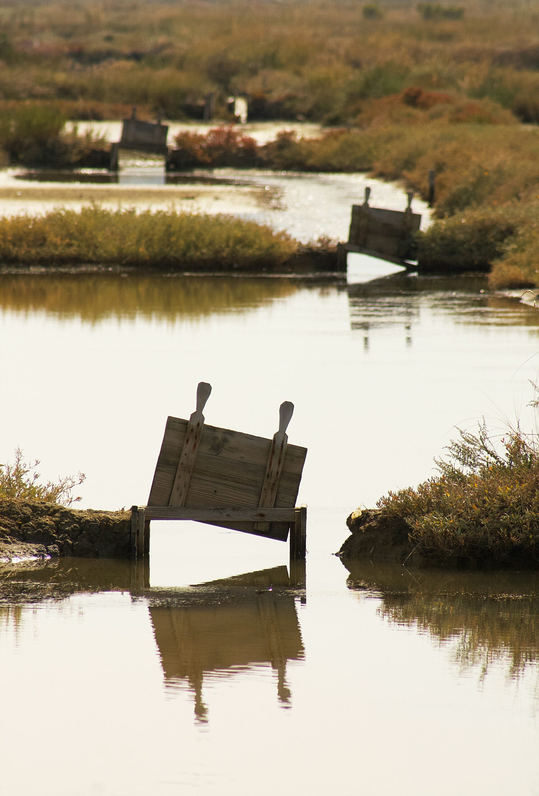 Dam Fails in Nashville, Illinois: Endangering Roughly 200 Homes, Officials Say