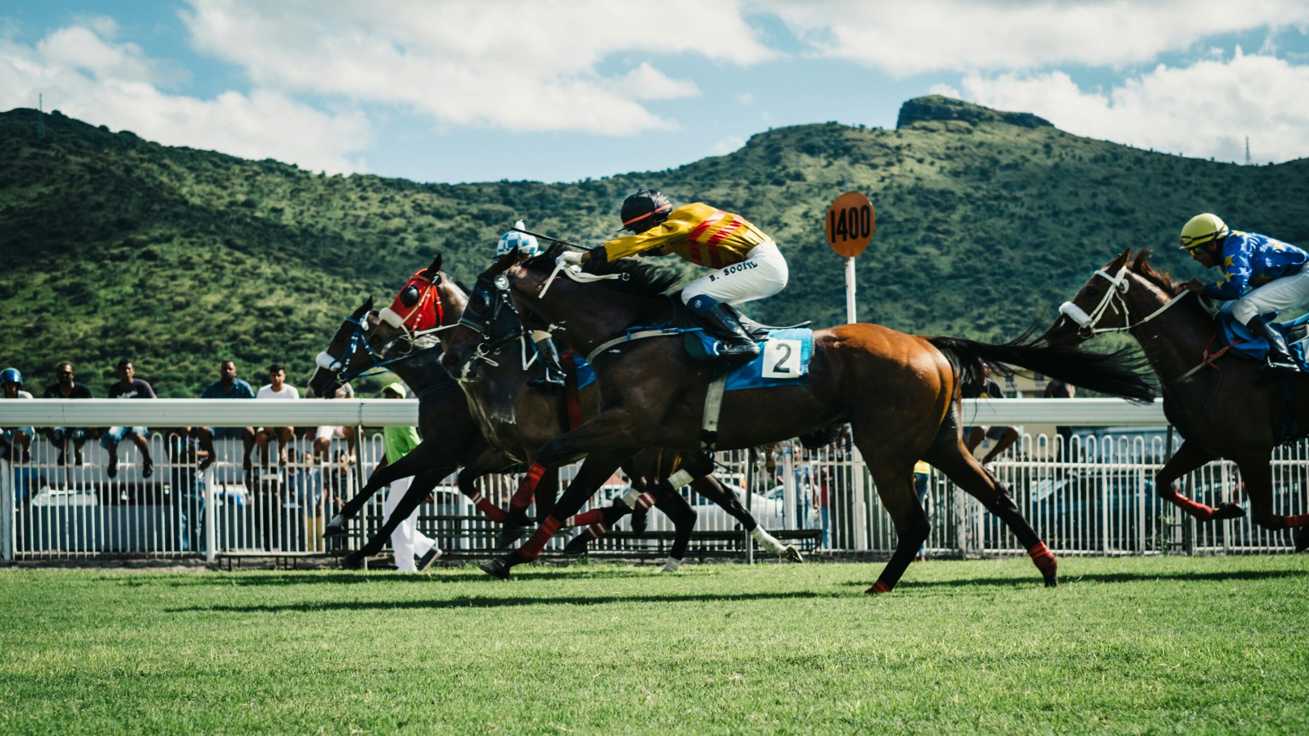 Galway Races Chief Says There’s a Great Energy Around the Summer