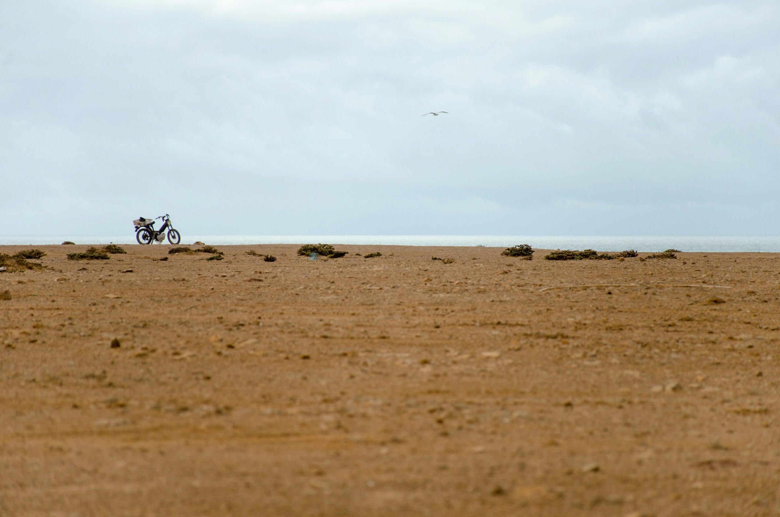 motorcycle in the middle of desert