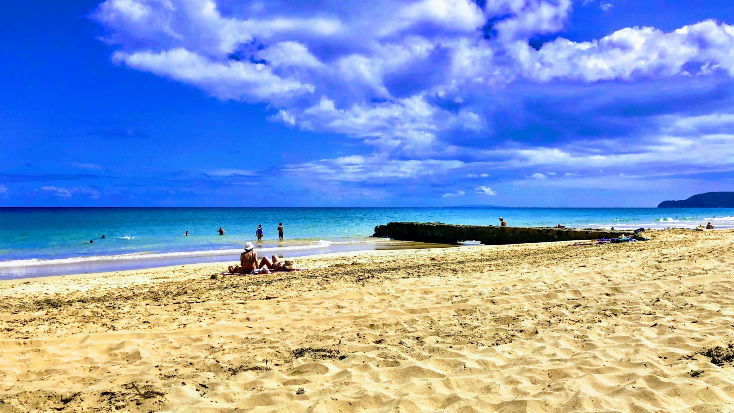 people on beach during daytime