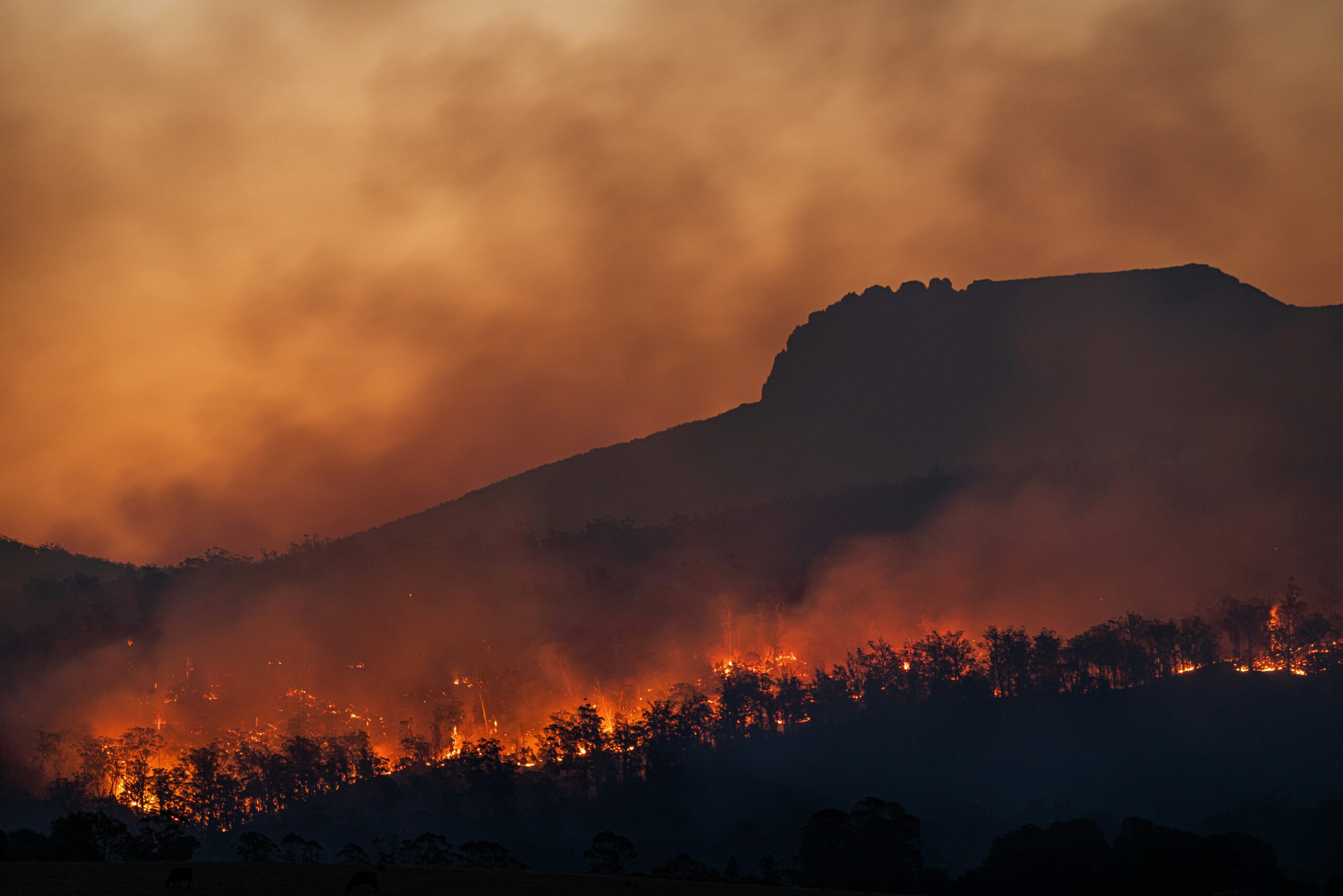 June 2024: The Hottest Month on Record Globally, Surpassing 2023 Highs – Insights from the EU Climate Monitor