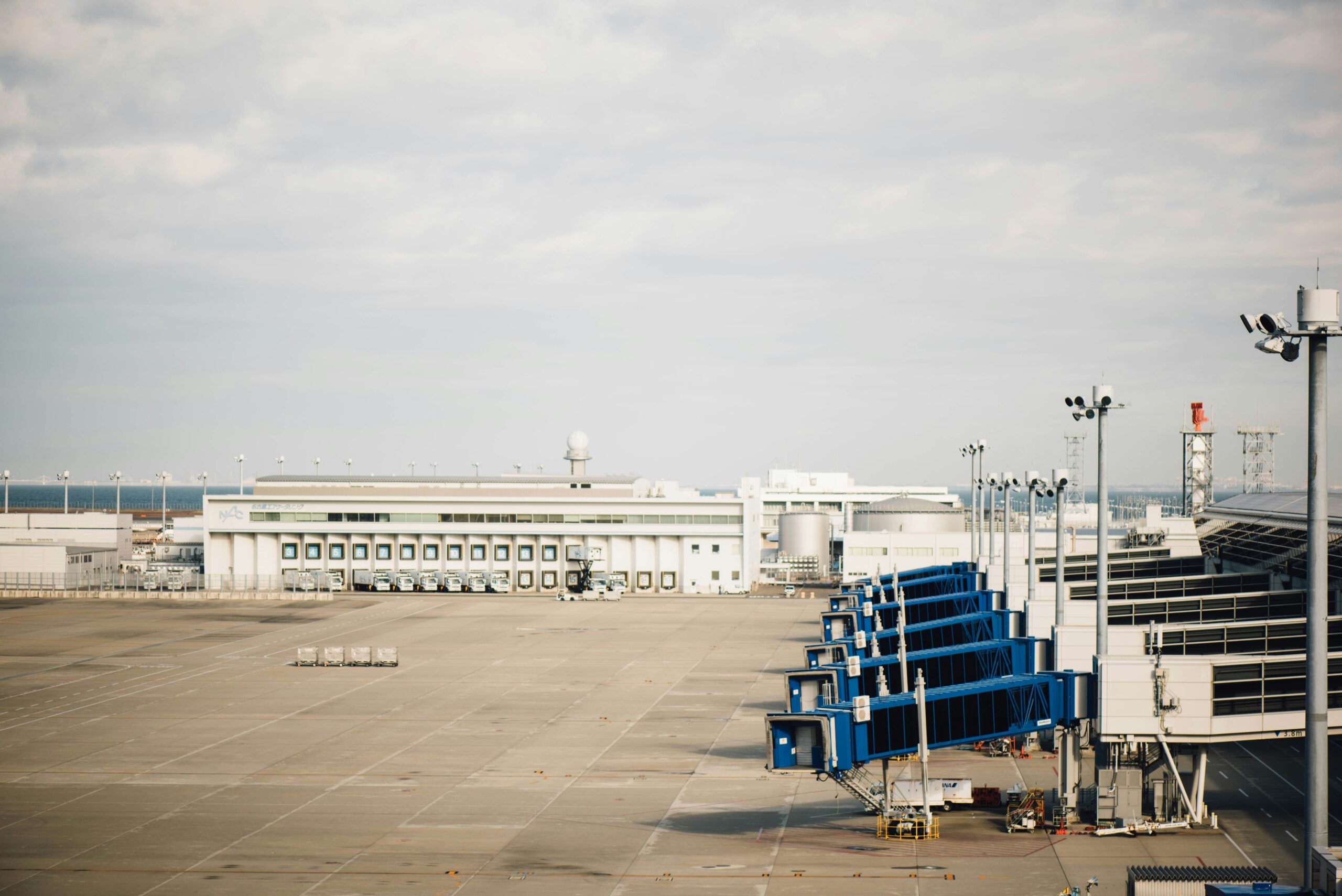 Delta Cancels 600 Flights in Wake of Cyber Outage: What You Need to Know