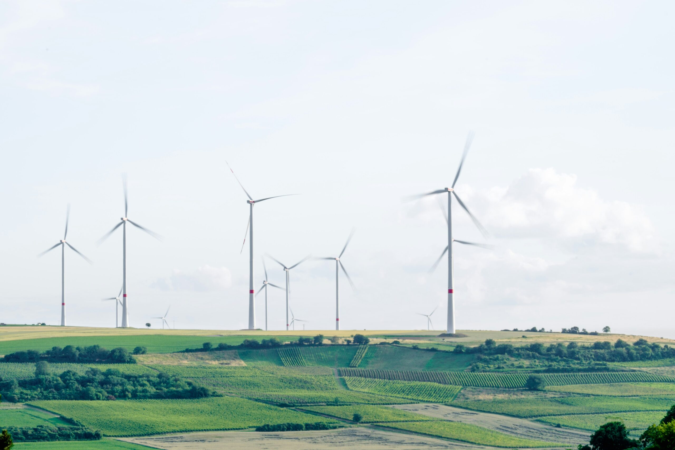 The Rise of Gautam Adani and the Success Story of Adani Green Shares