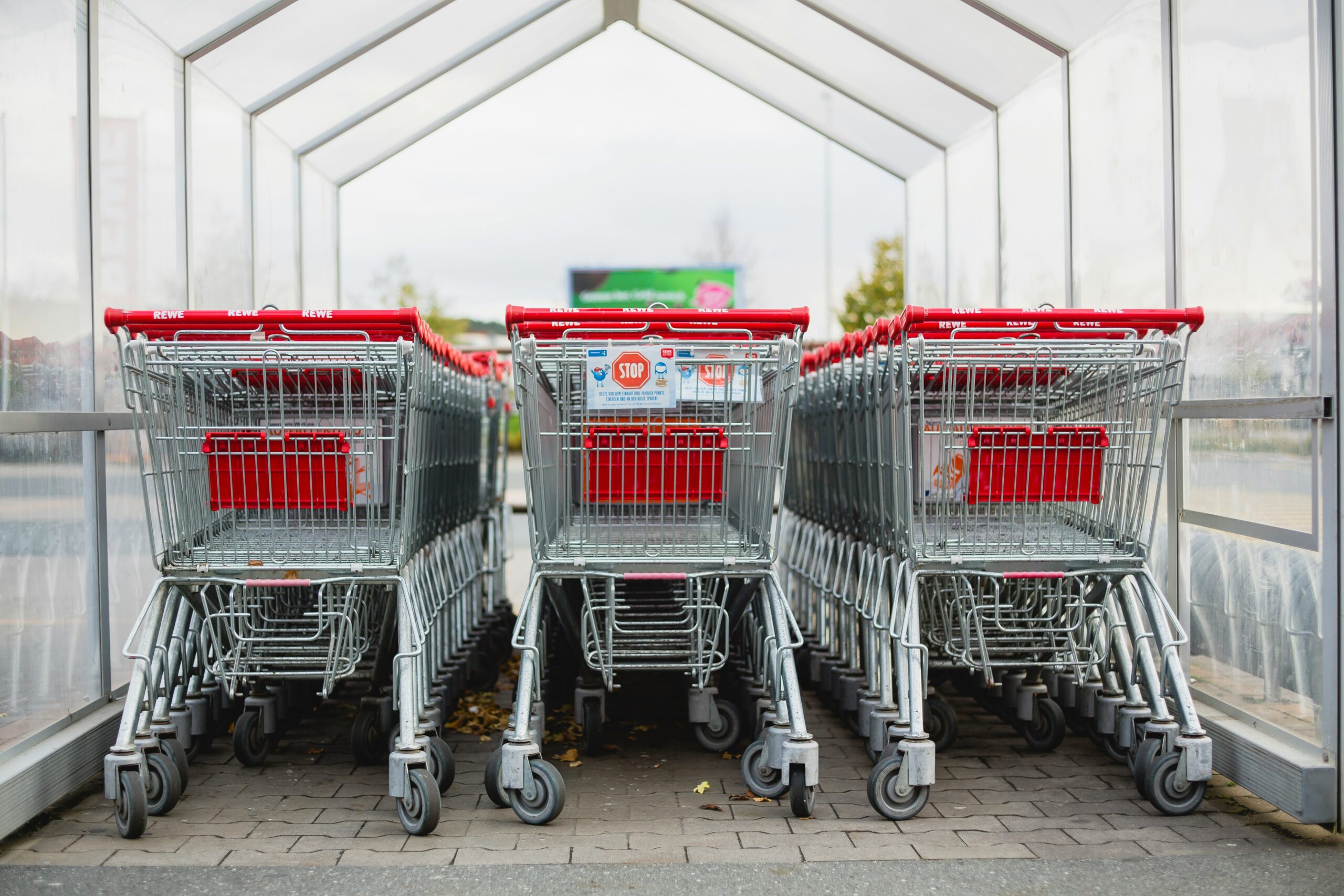 Inside the Woolworths CEO Leaked Email: Implications for Consumer Trust and Competition with Coles