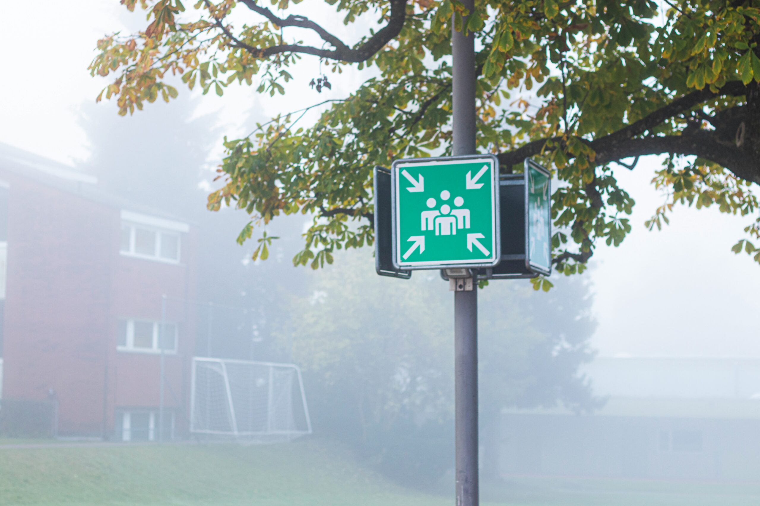 green and white street sign