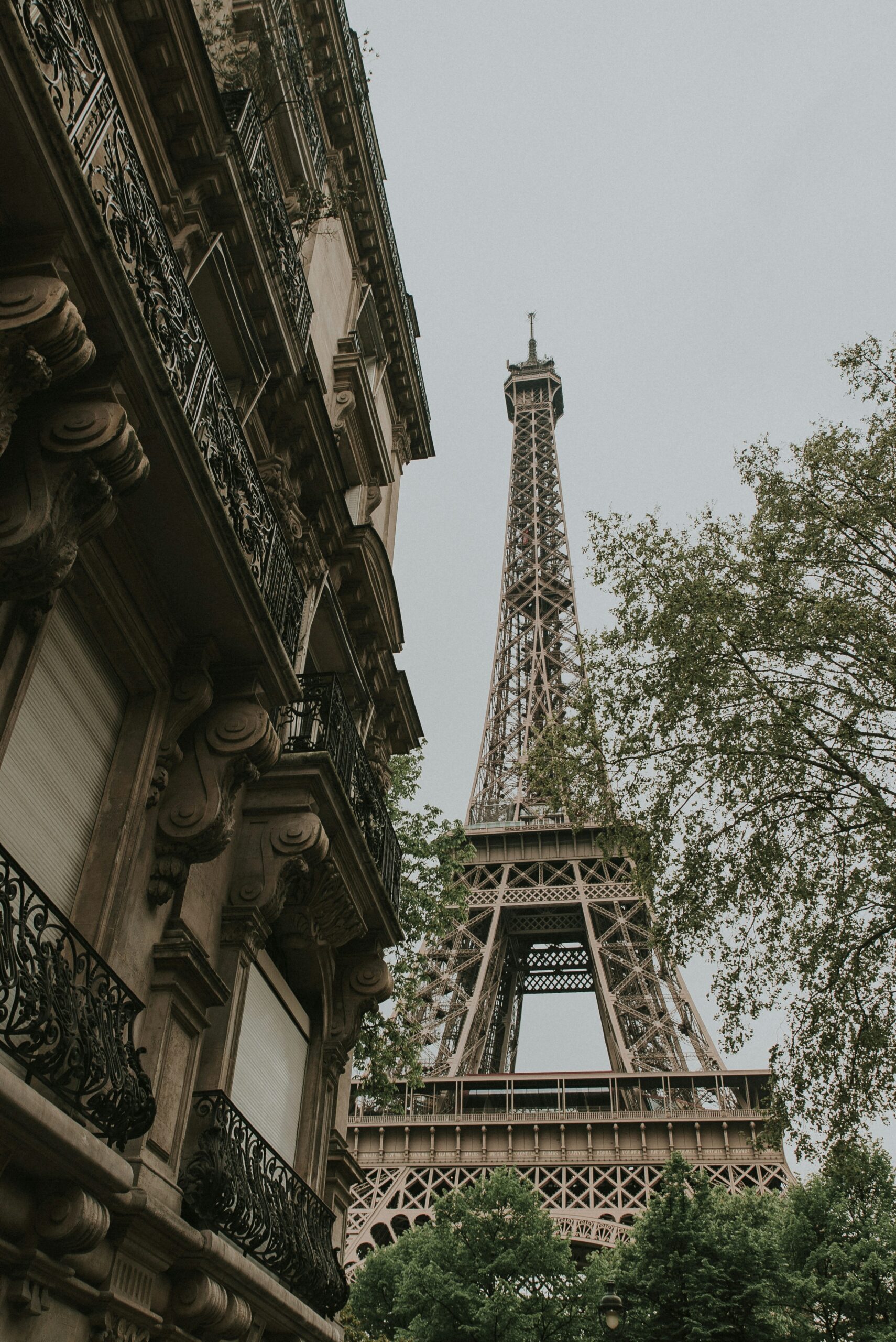 Louane and the Road to Eurovision 2025: A Journey Through Family, Fame, and France