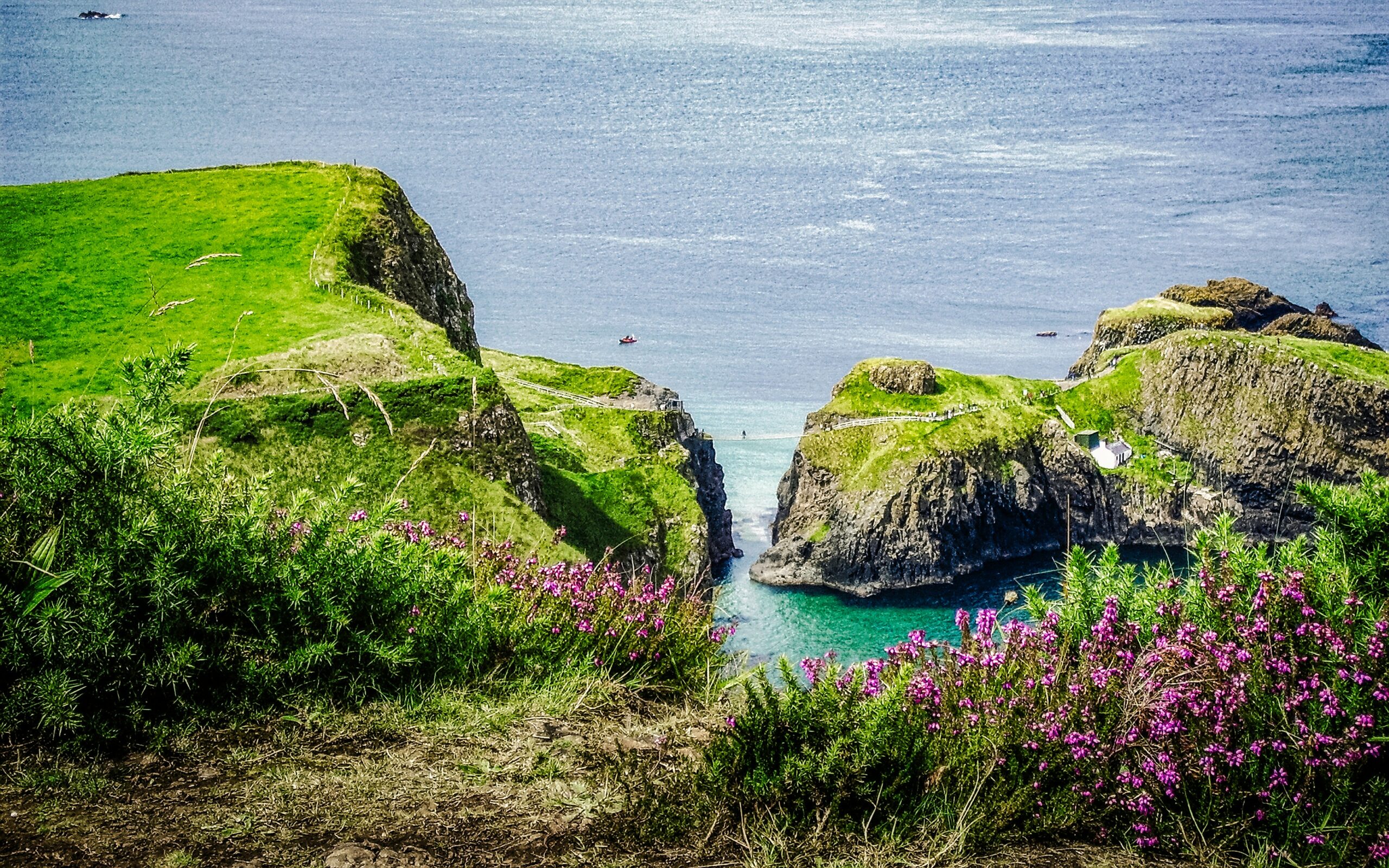 a body of water surrounded by a lush green hillside