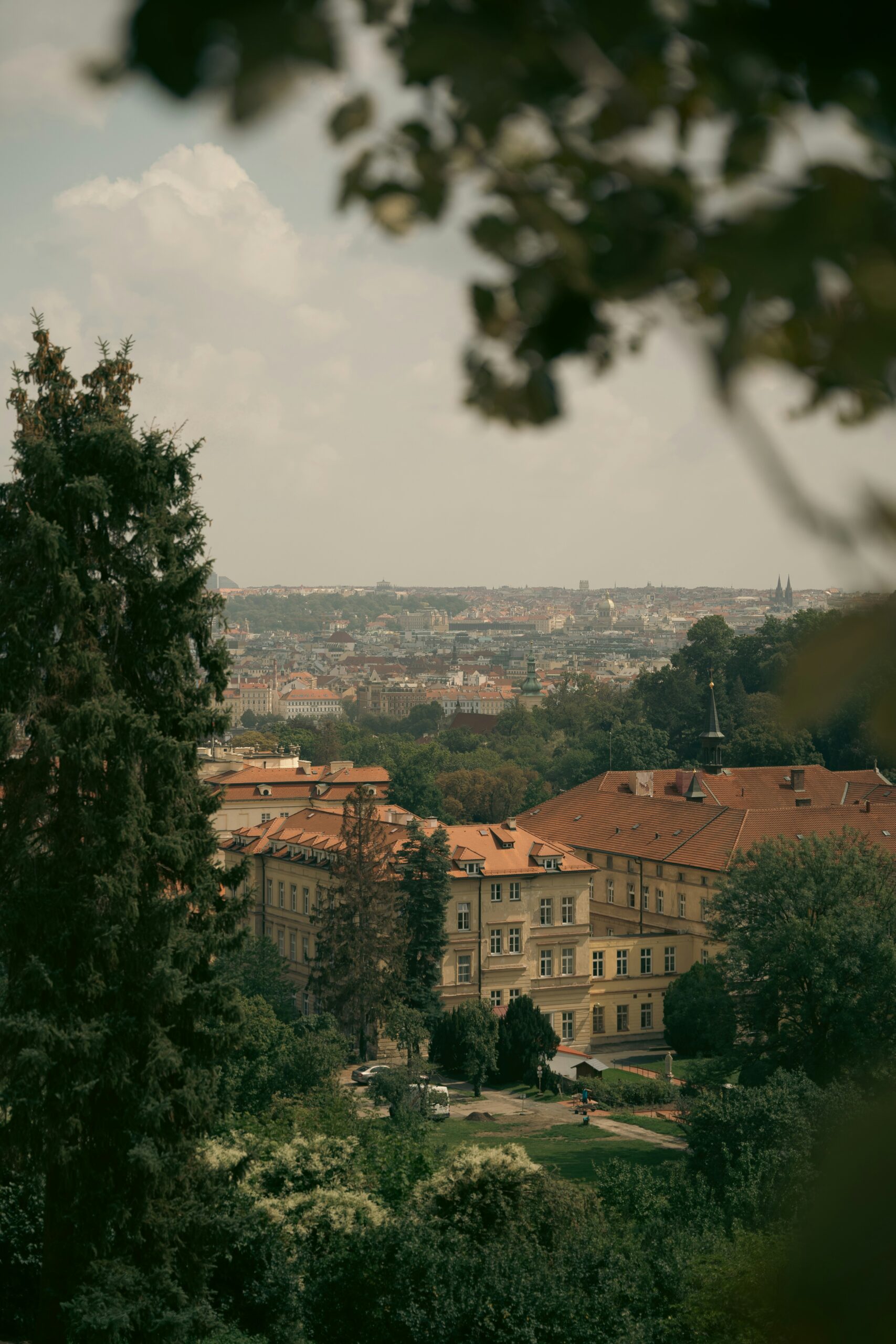 a group of buildings and trees