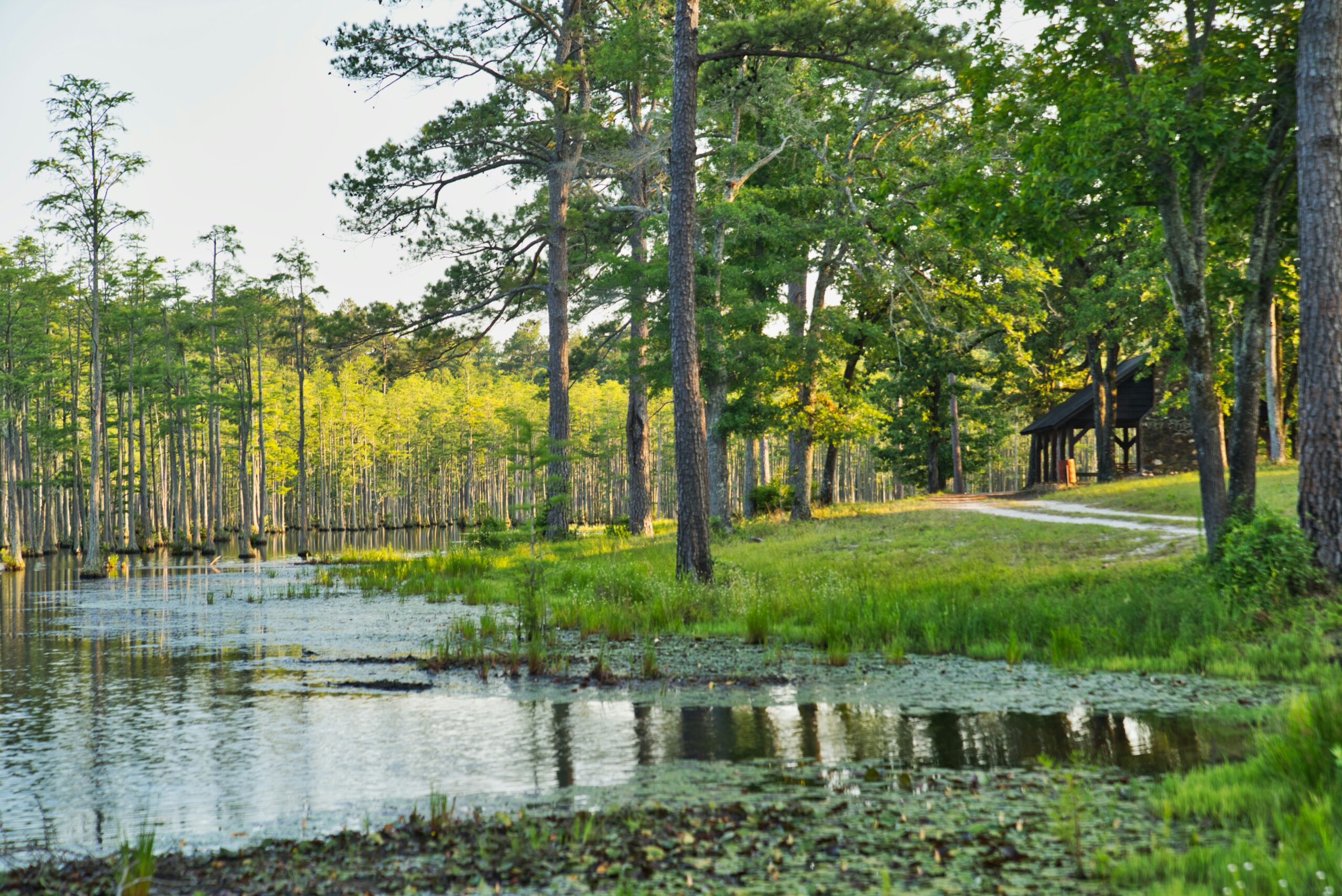 Understanding the Political Dynamics of Patrick Bryant and Nancy Mace in South Carolina