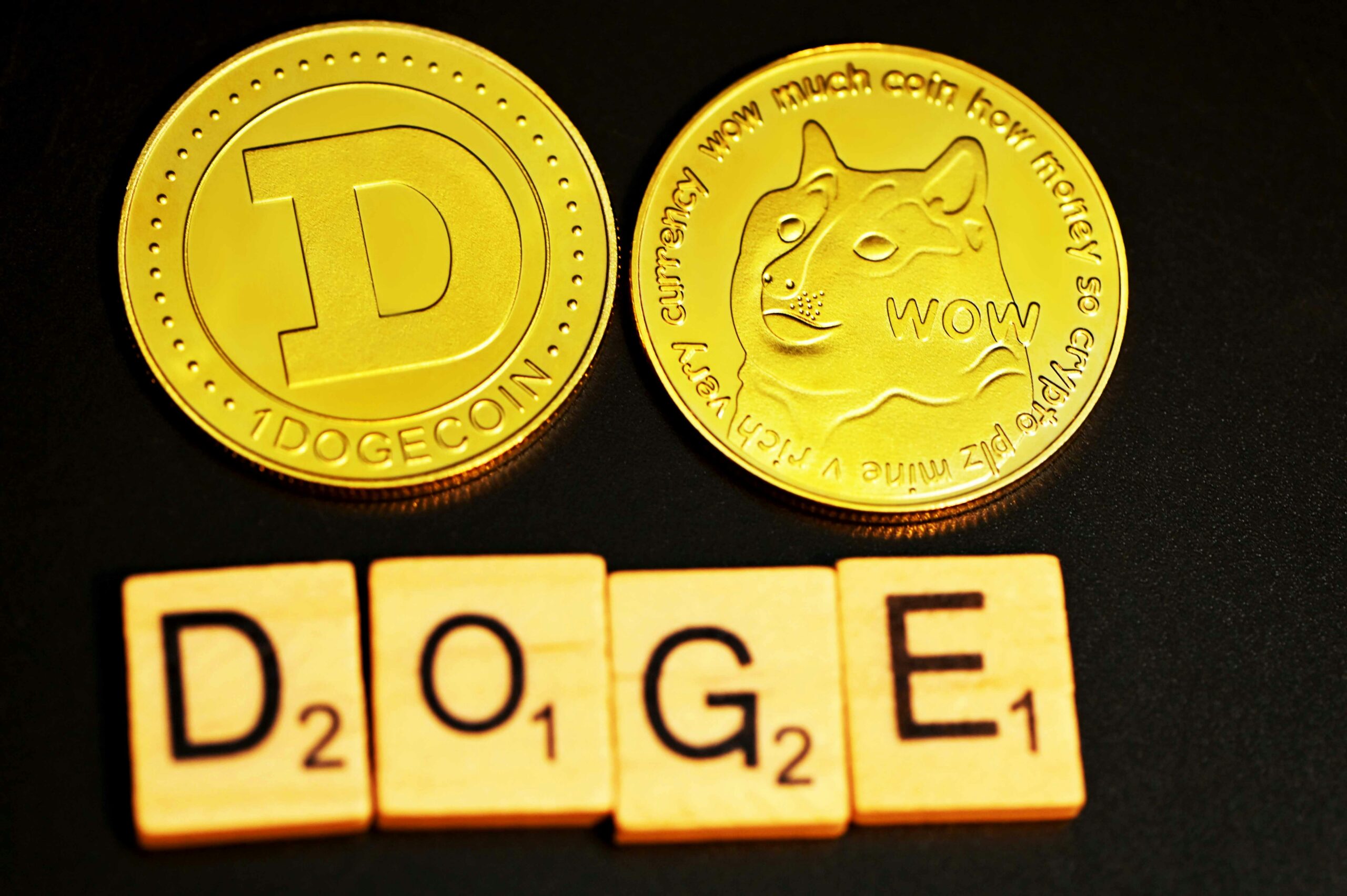 The Controversial Rise of Eugenics in the Age of Elon Musk and the Doge Phenomenon