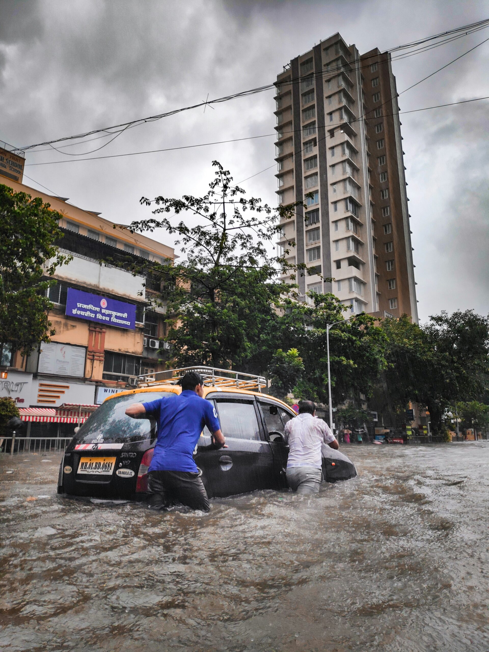 The Impact of the North Queensland Floods: A Deep Dive into Recent Disasters