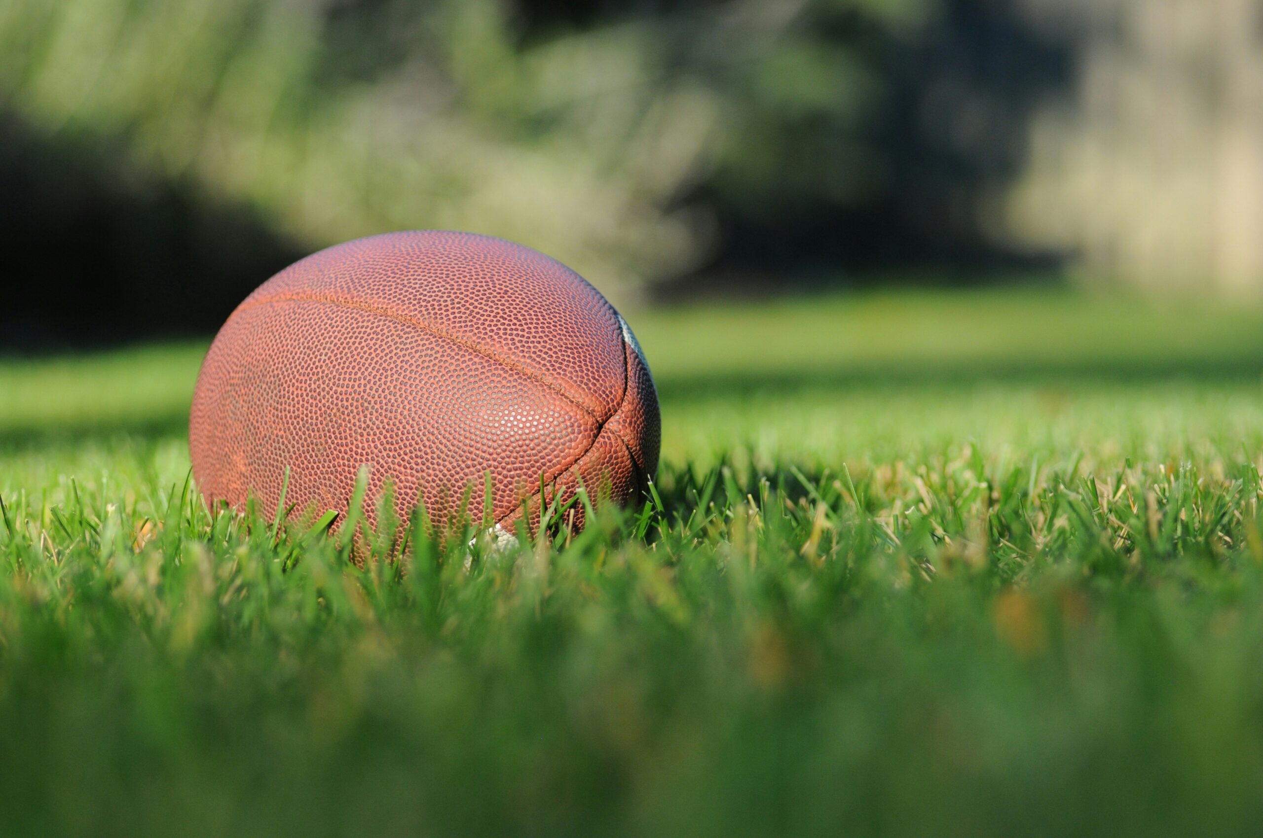 selective focus photography of brown football on grass at daytime