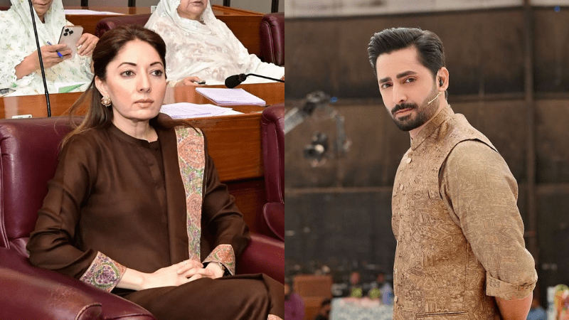 ایم این اے شرمیلا فاروقی کا خیال ہے کہ دانش تیمور کا بیان شادی کو ‘پاور پلے’ میں تبدیل کر دیتا ہے