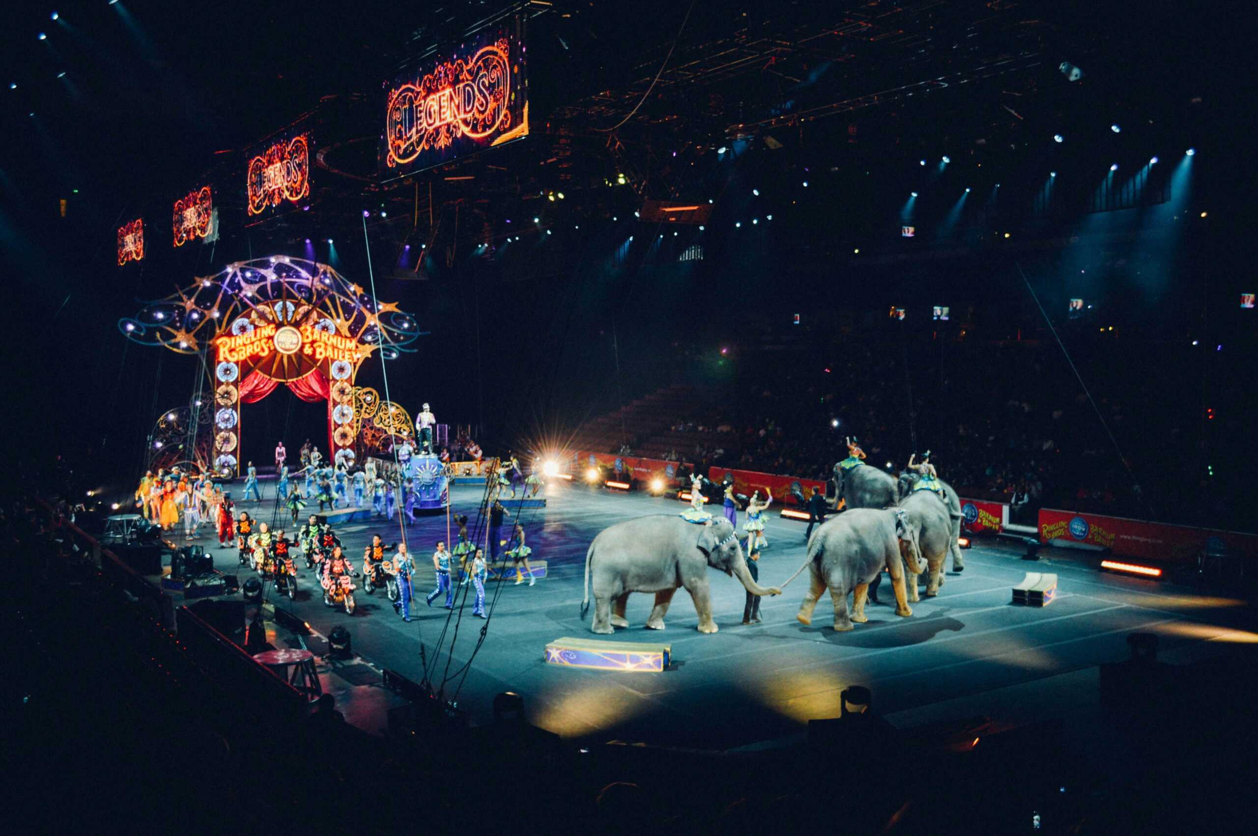 Exploring Circus Circus Las Vegas: A Fun-Filled Adventure at the Adventuredome