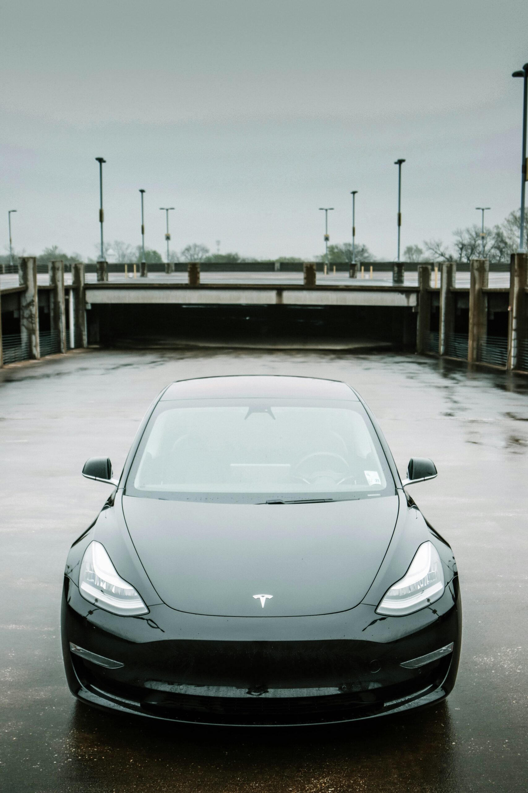Trump’s Bold Move: Buying Tesla and the Future of Electric Vehicles